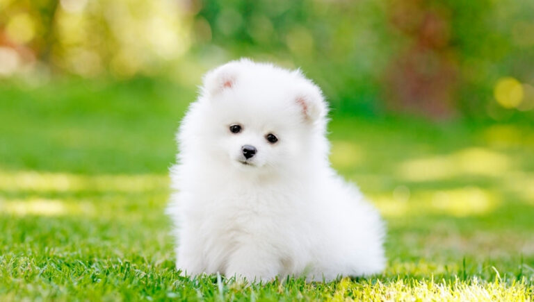 200 Cute Instagram Captions to Brighten Your Feed with Adorable Vibes