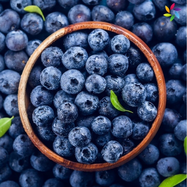 Blueberry Day Captions
