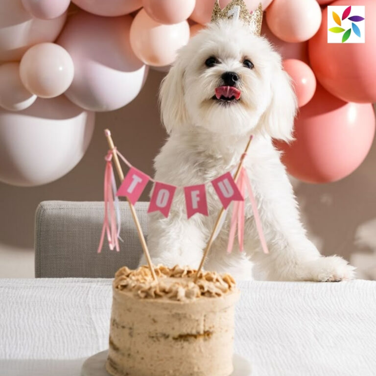 Dog Birthday Captions For Instagram 1