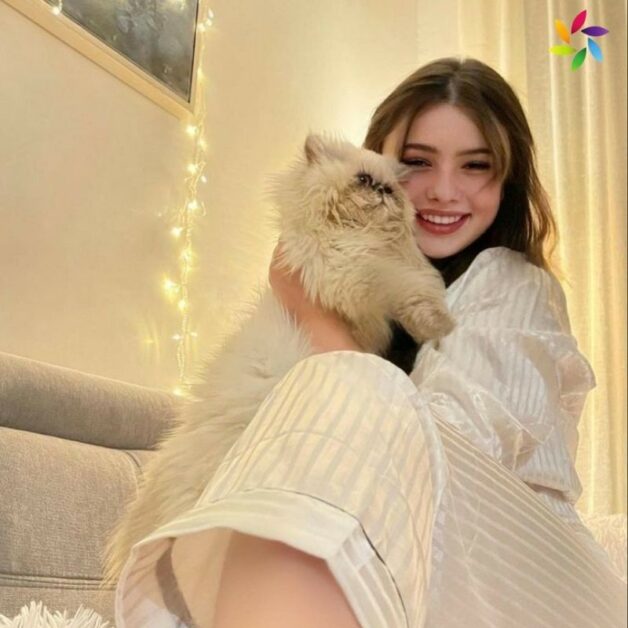 Smile Captions For Instagram Smile Captions For Instagram