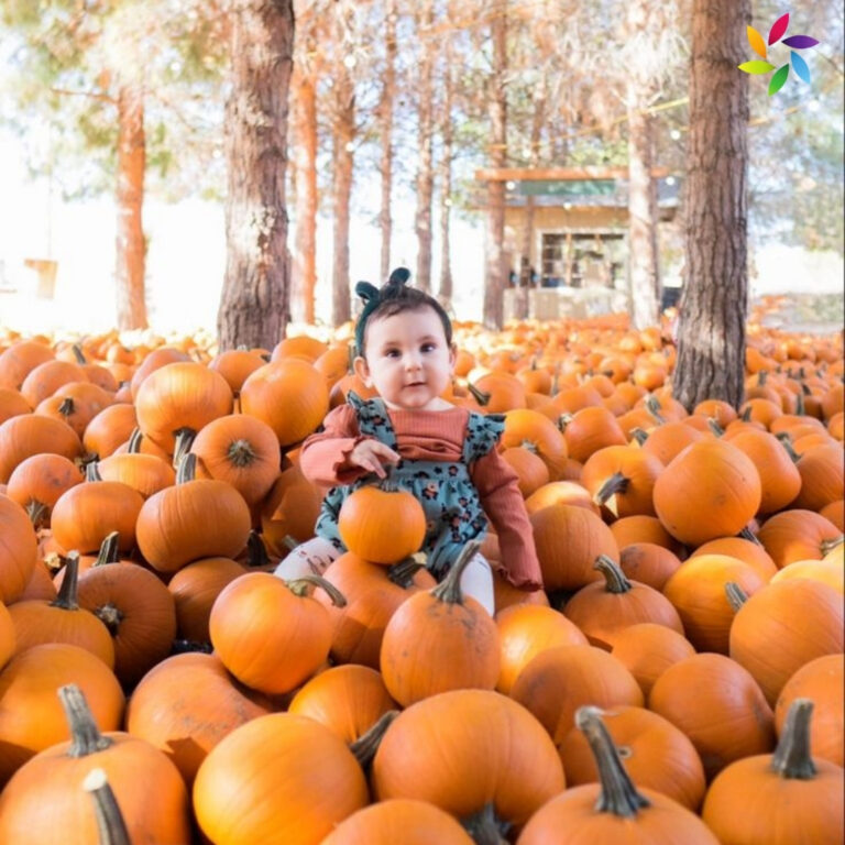 Baby Pumpkin Captions For Instagram