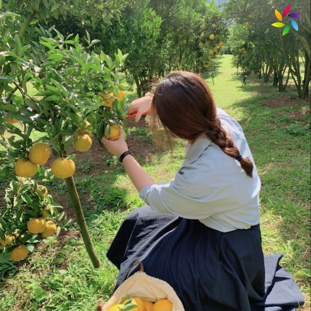 Farmer Captions For Instagram