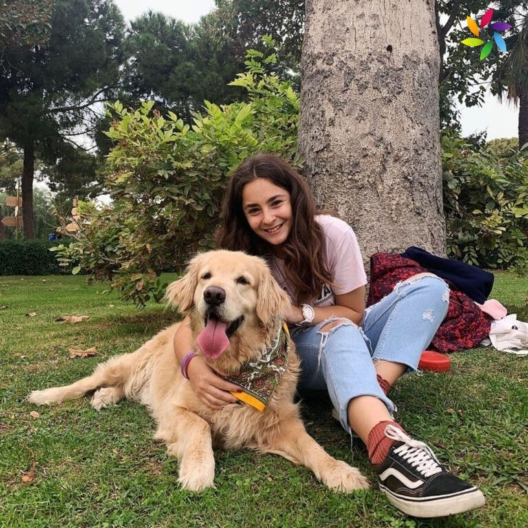 Funny Instagram Captions For Dog