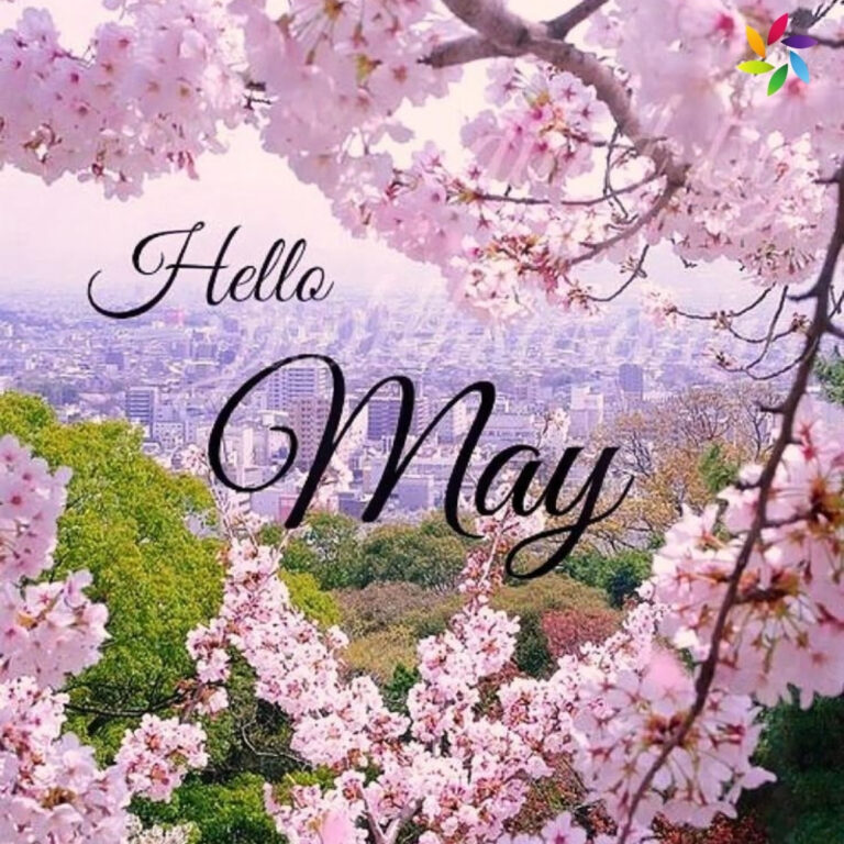 Instagram Captions For May