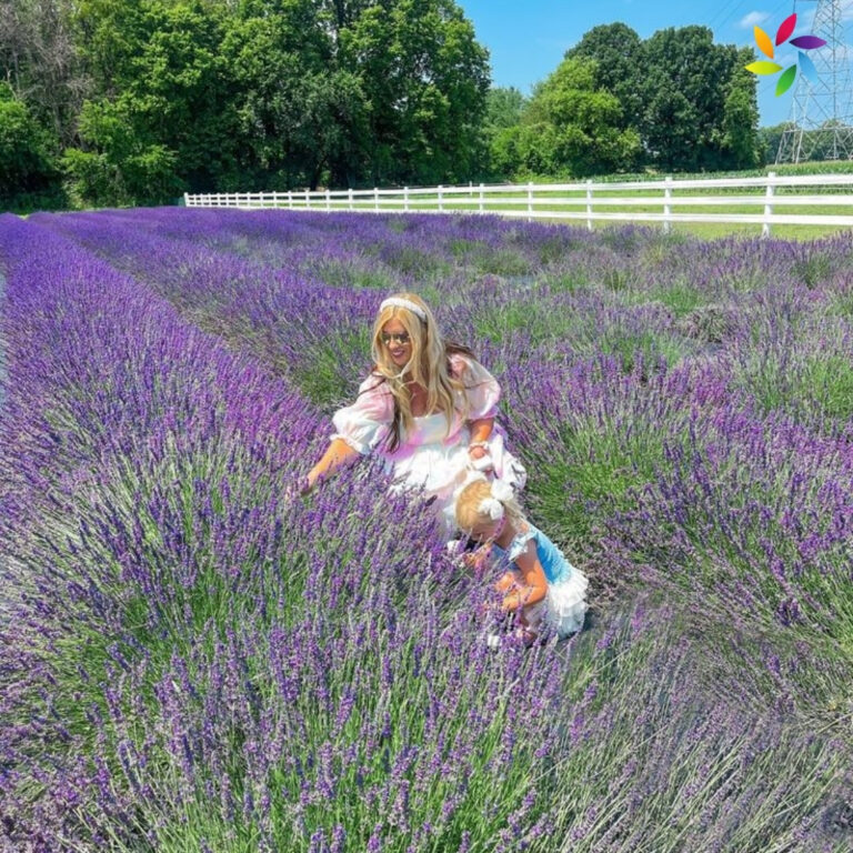 Lavender Captions For Instagram