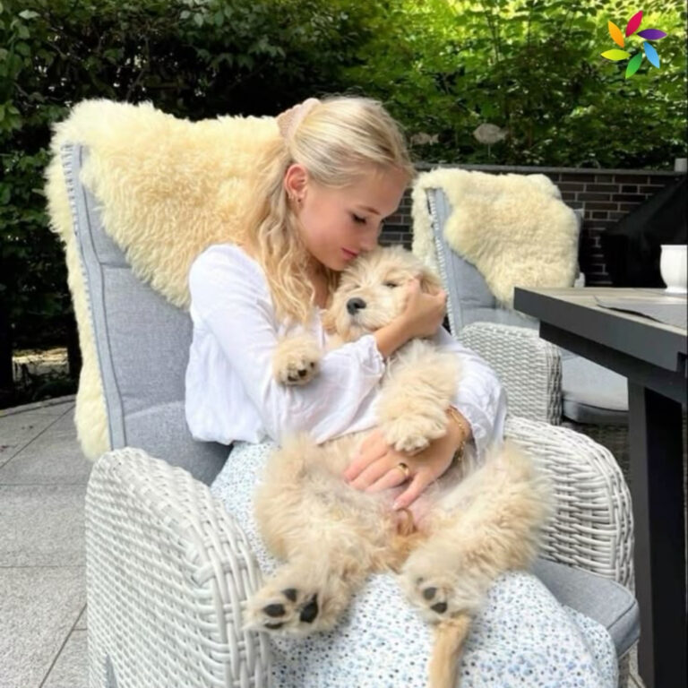 Insta Short Dog Captions For Instagram