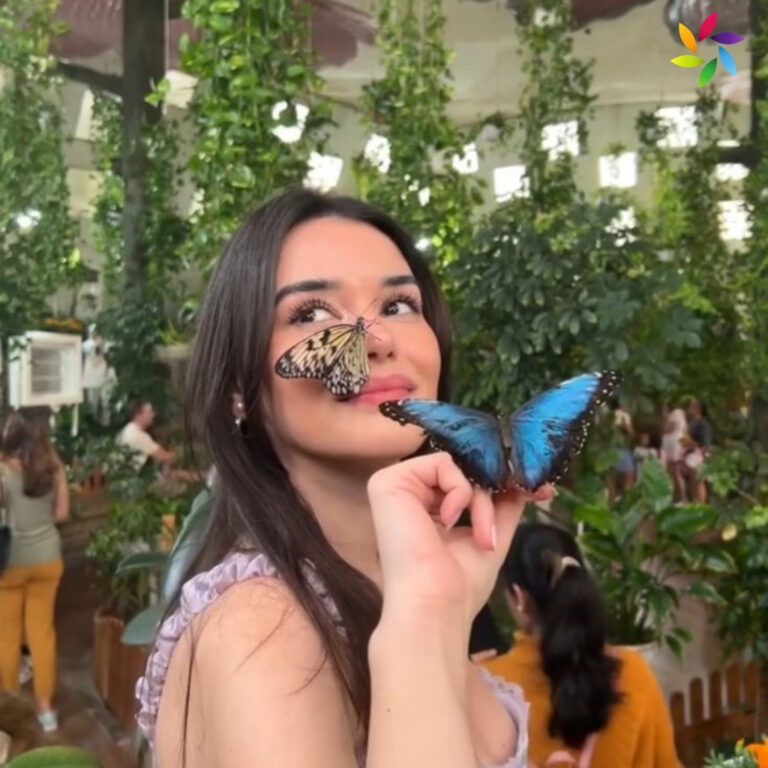 Butterfly Captions For Instagram