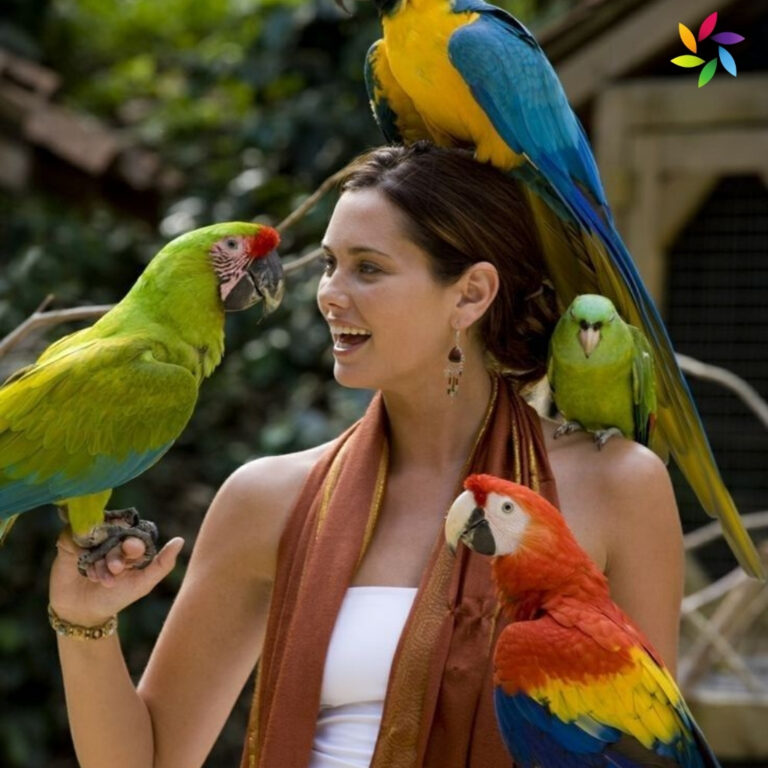 Bird Captions For Instagram