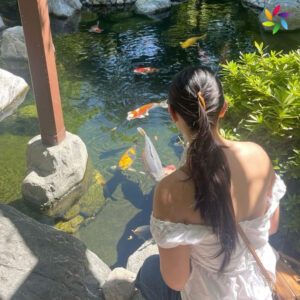 Fish Instagram Captions